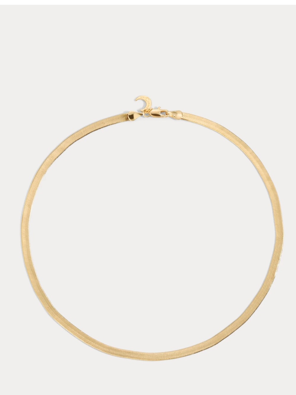 Lili Claspe Medium Reggie Chain